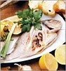 BALIK ÇEŞİTLERİ