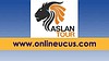 ASLANTUR