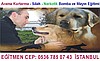 Köpek eğitimi