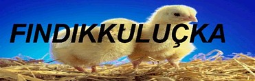 FINDIKKULUÇKA MAKİNALARI